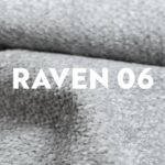 Raven 06